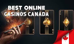 Discover the Best Online Casino A Comprehensive Guide Discover the Best Online Casino A Comprehensive Guide